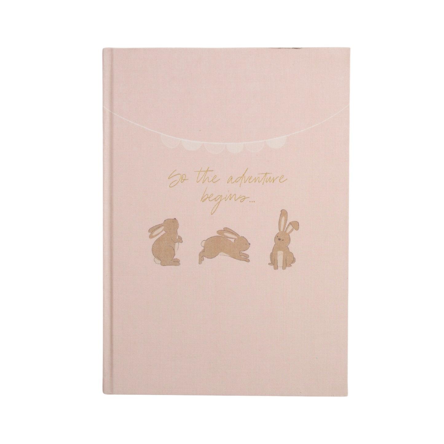 Baby Milestone Book - Playful Bunnies