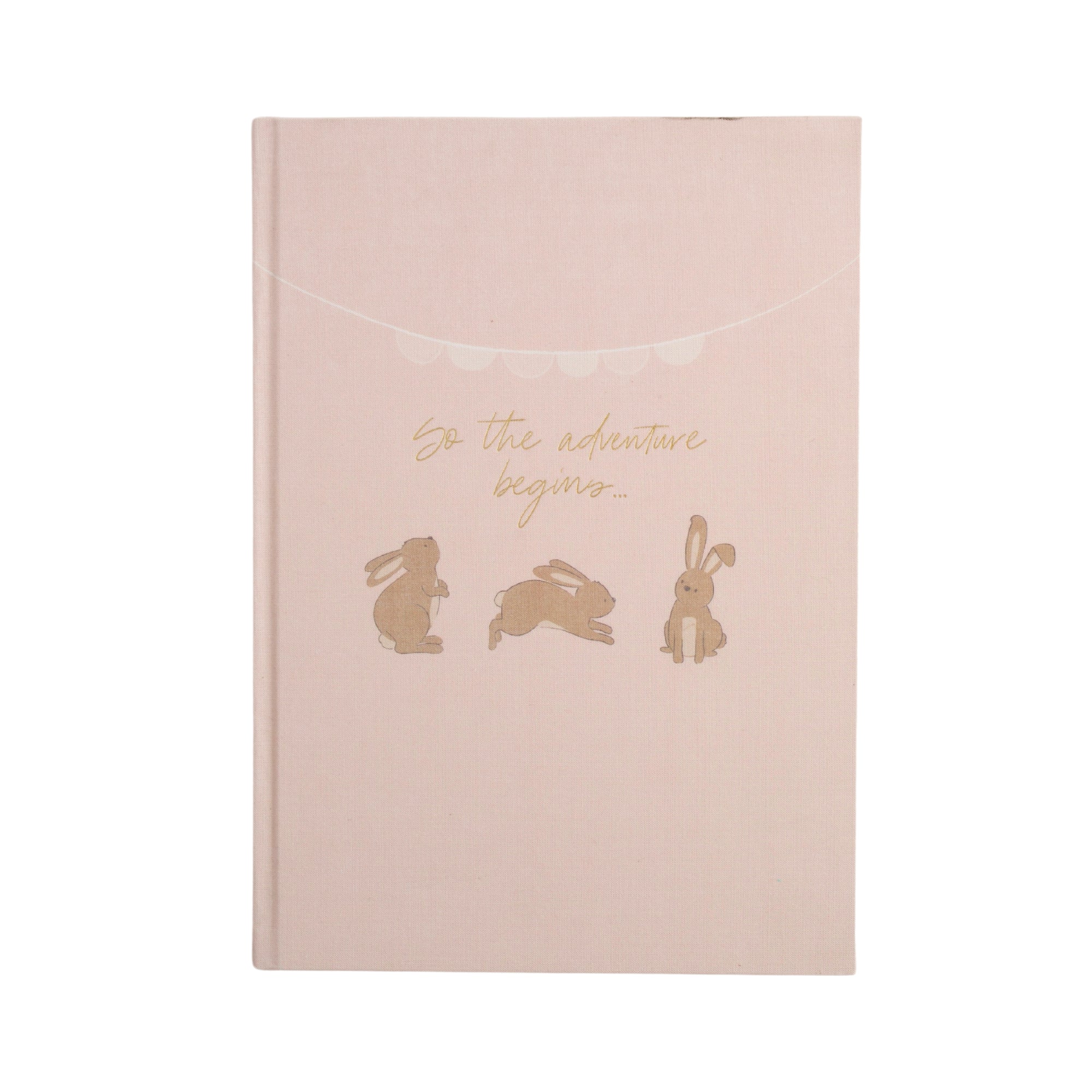 Baby Milestone Book - Playful Bunnies