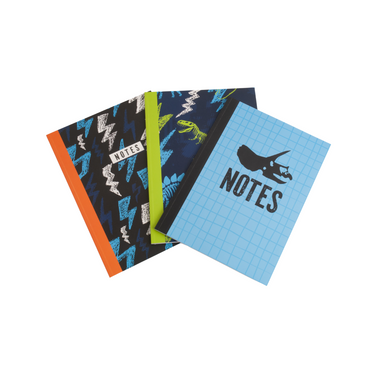 3pk A4 Notebook Set - Electrosaurus