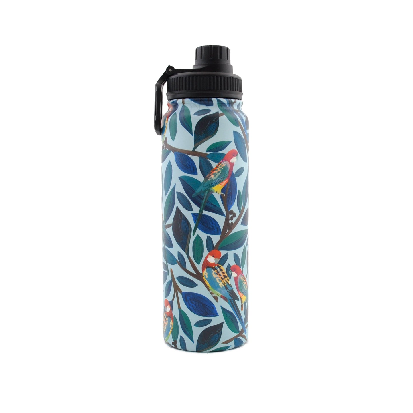 Insulated Drink Bottle 800Ml - Artistic Bird