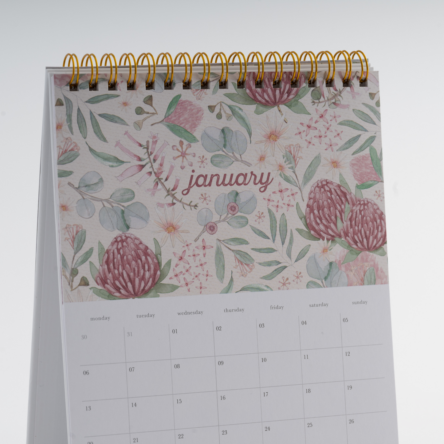 2025 Desk Calendar - Waratah