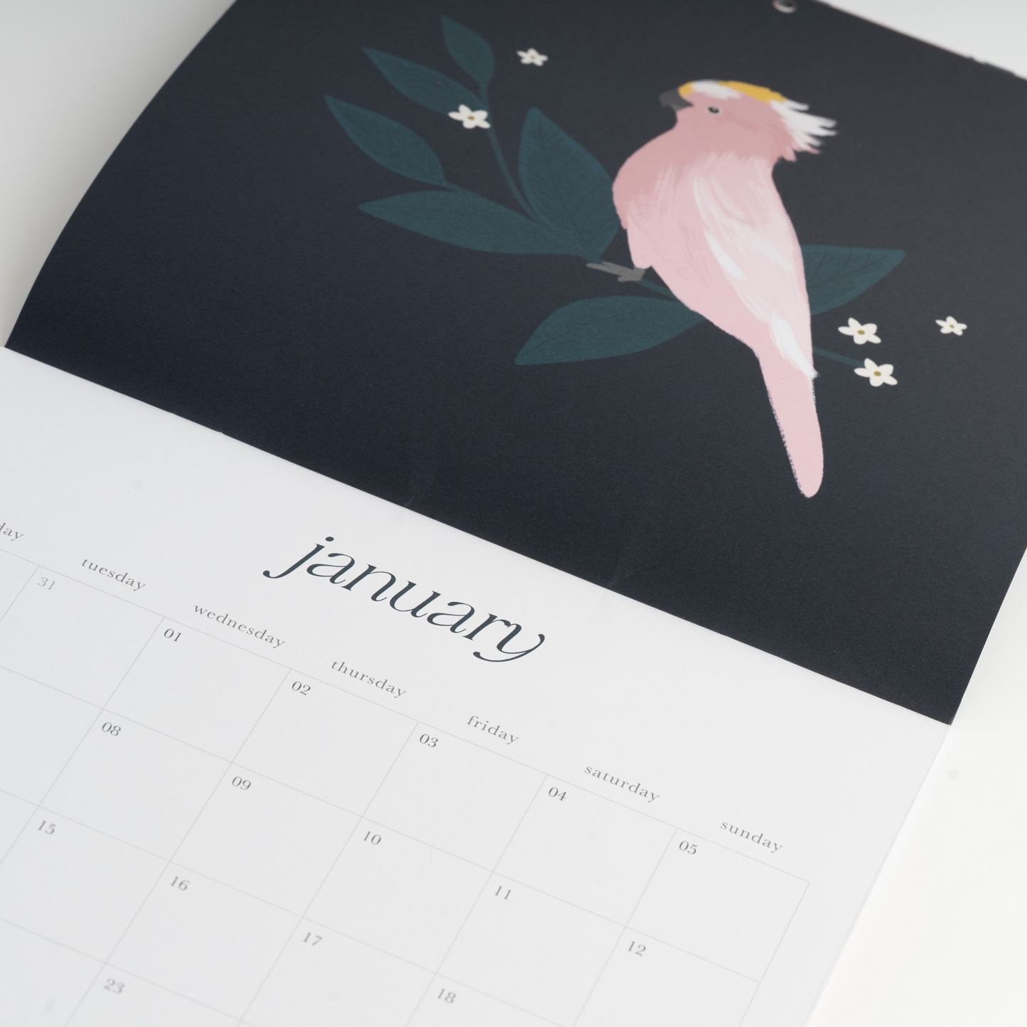 2025 Wall Calendar - Birdsong