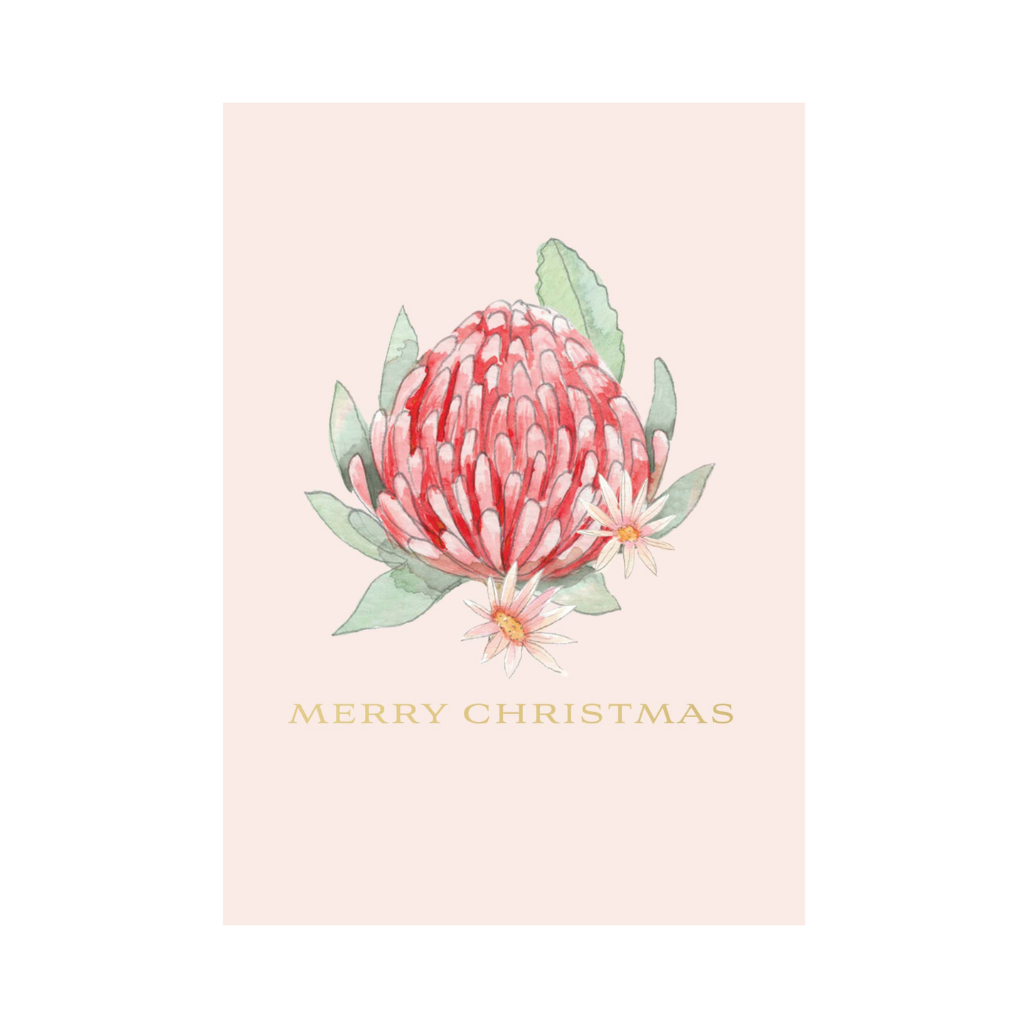 Christmas Card - Waratah Christmas