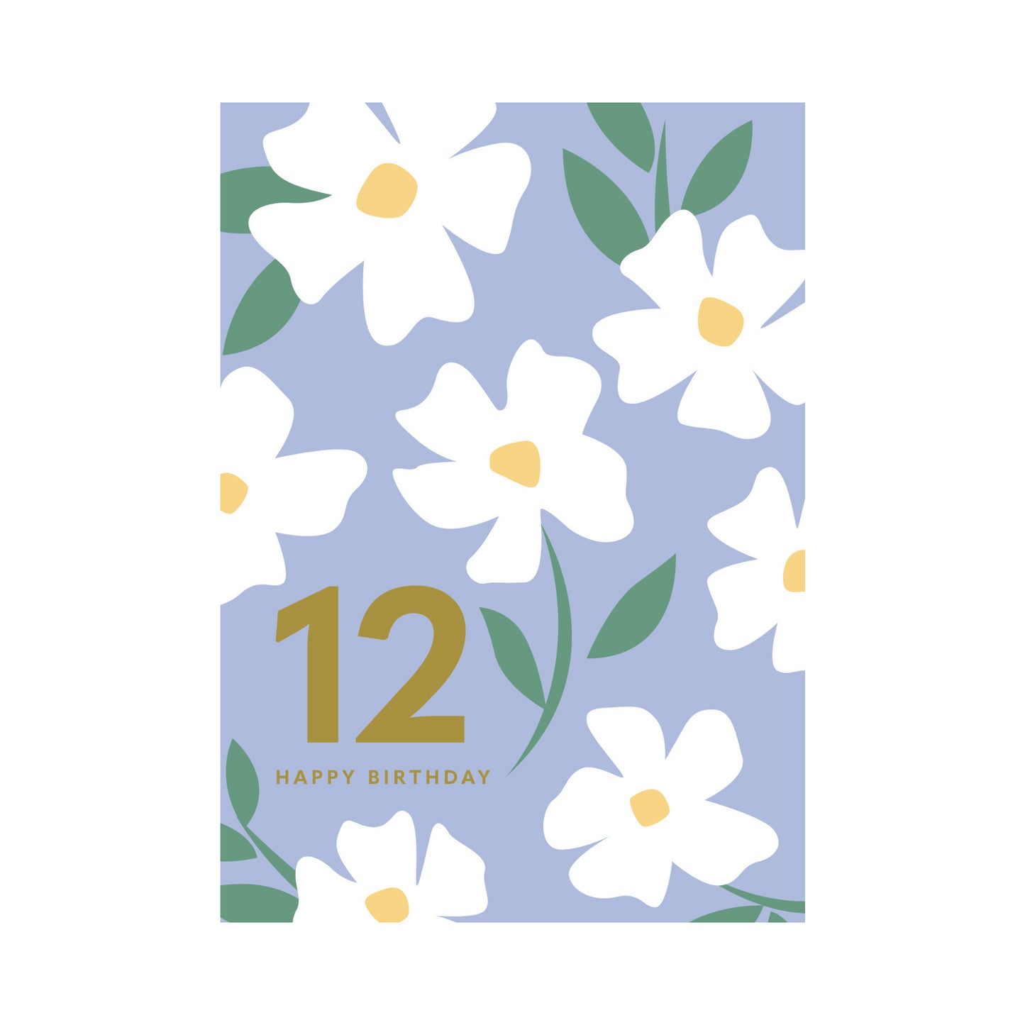 Greeting Card Magical Milestone - 12 Daisies