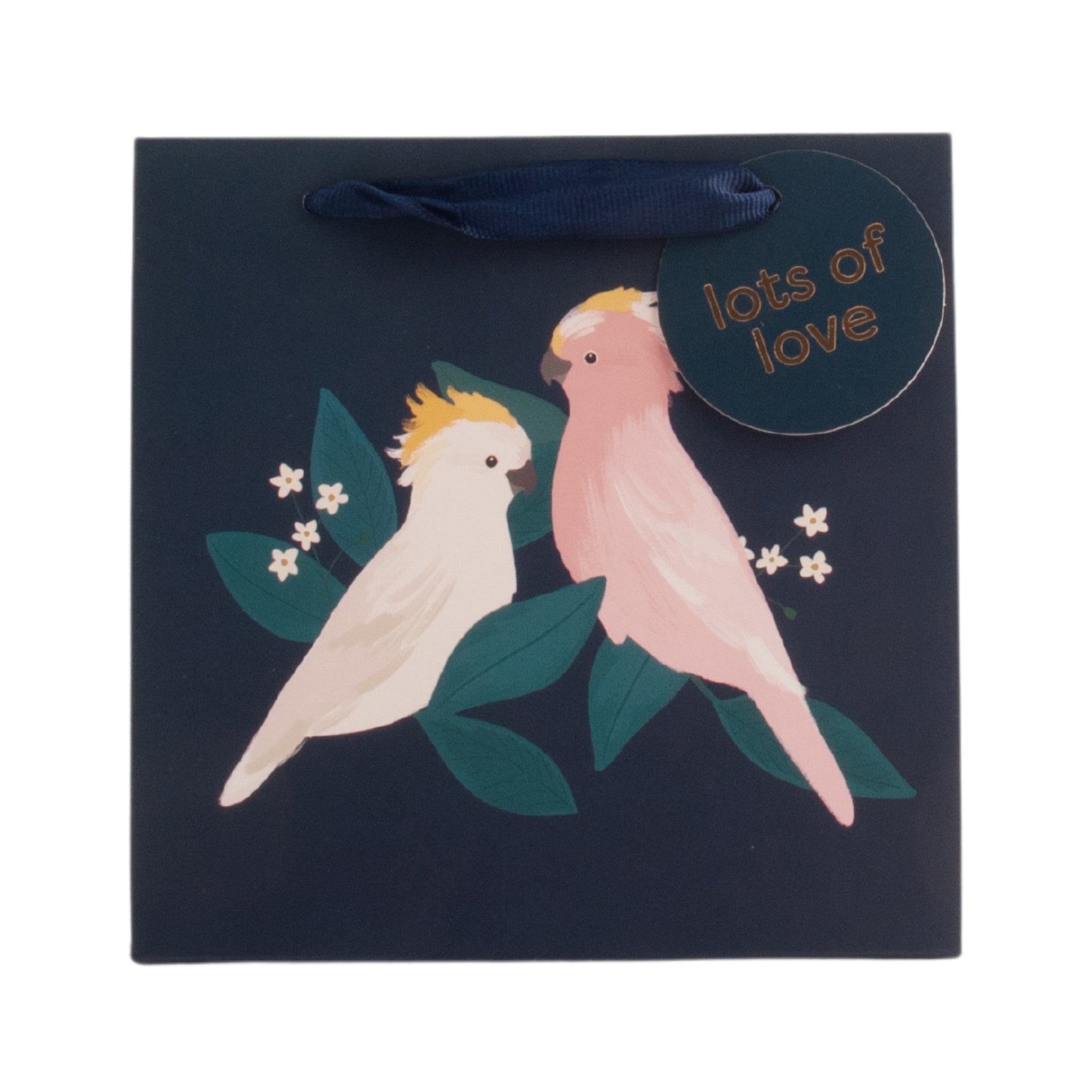 Small Square Gift Bag - Bird Song