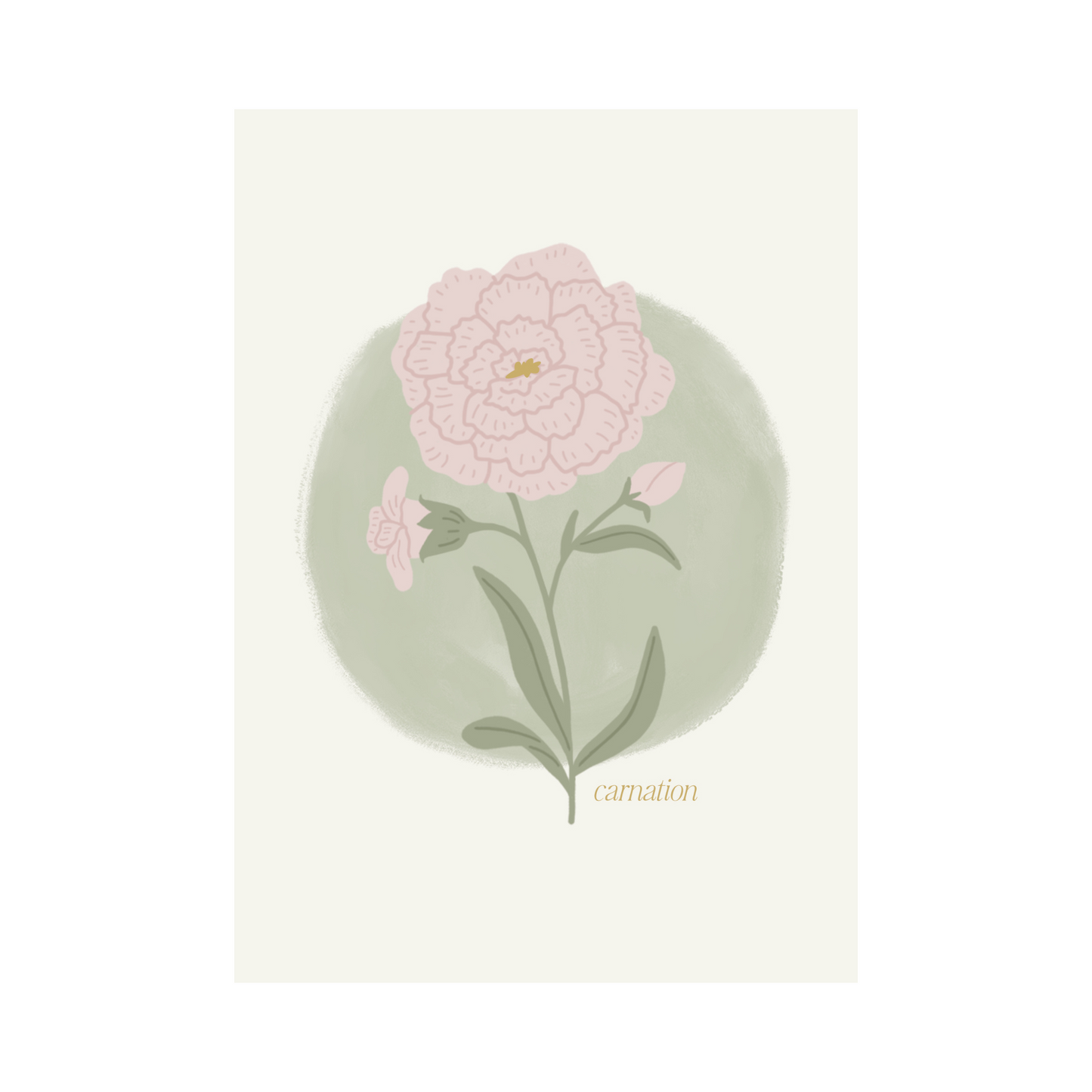 Greeting Card Flower - Carnation