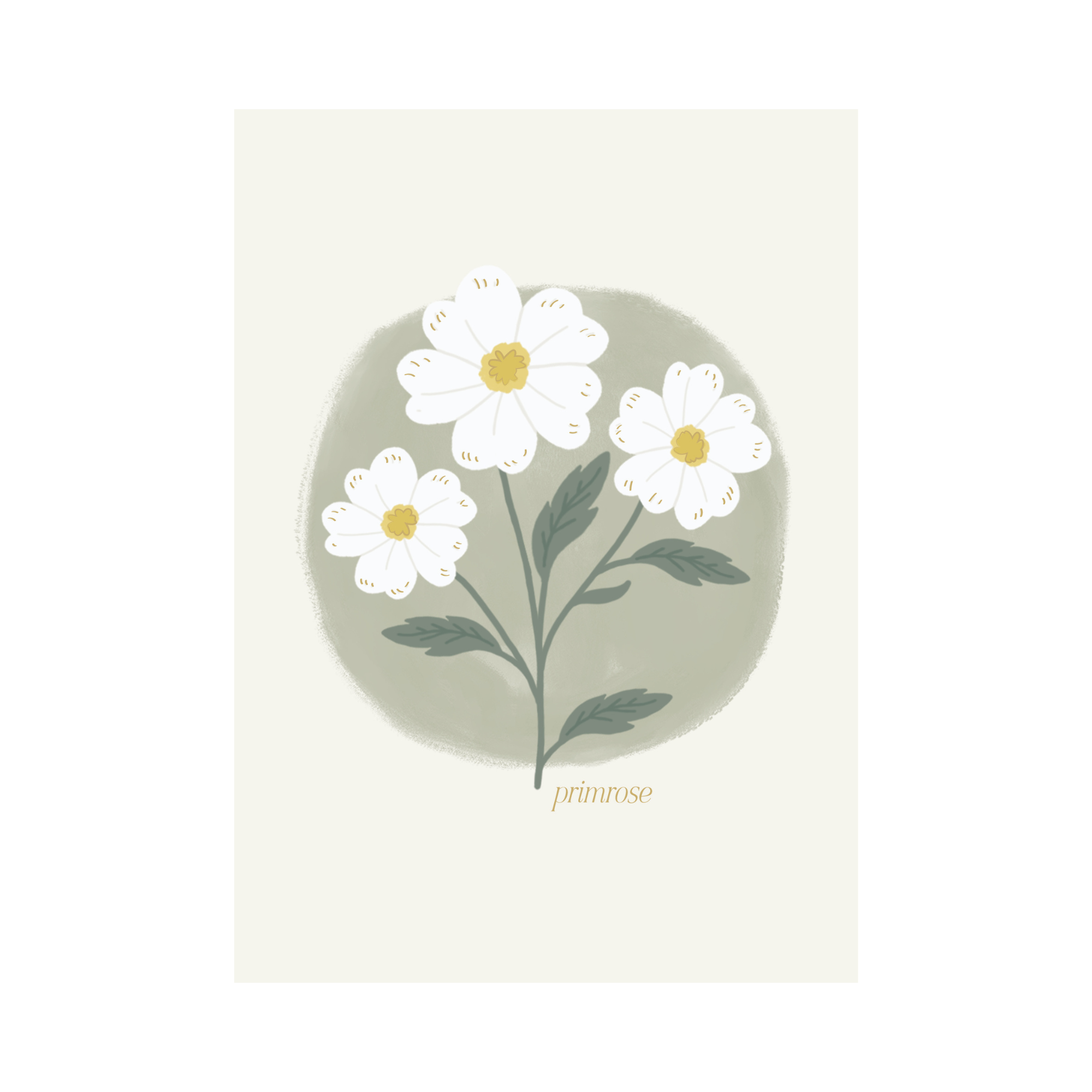 Greeting Card Flower - Primrose