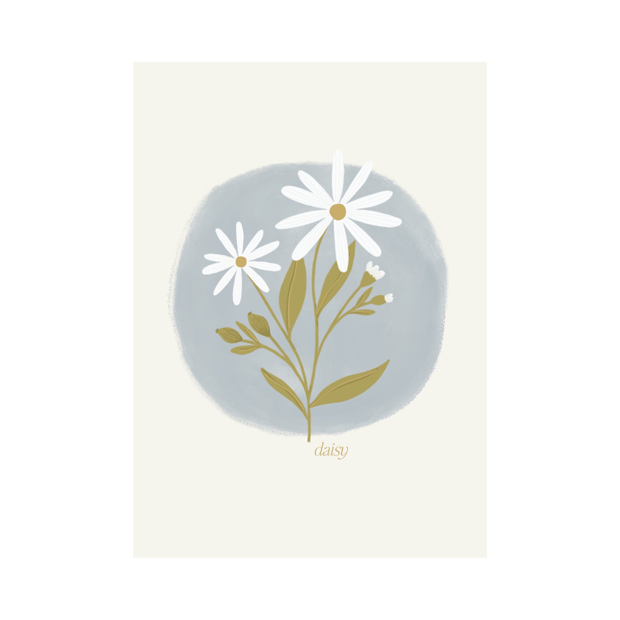 Greeting Card Flower - Daisy