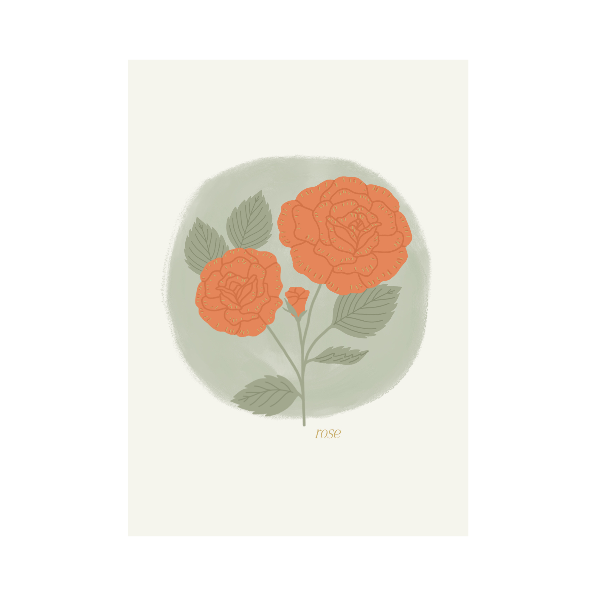 Greeting Card Flower - Rose