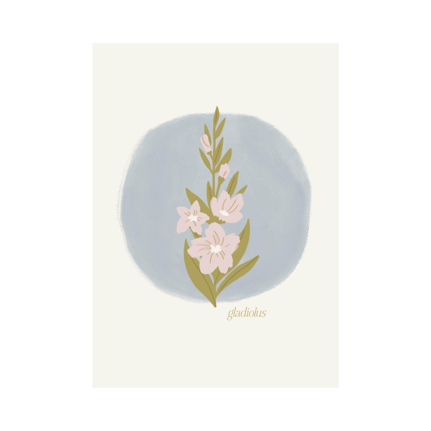 Greeting Card Flower - Gladiolus