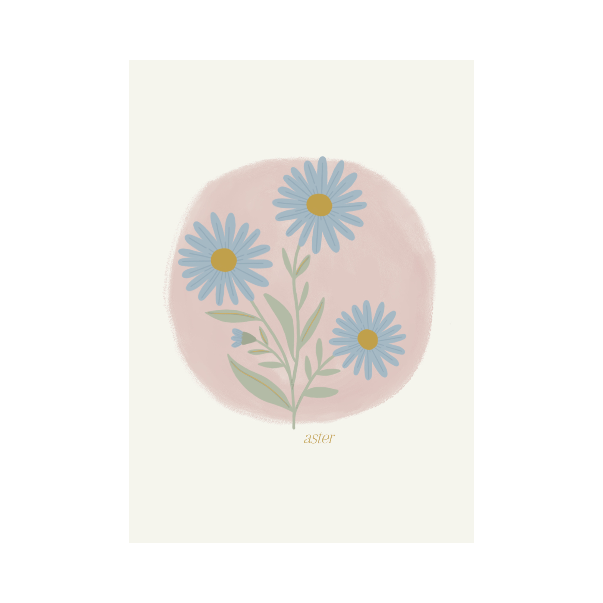 Greeting Card Flower - Aster