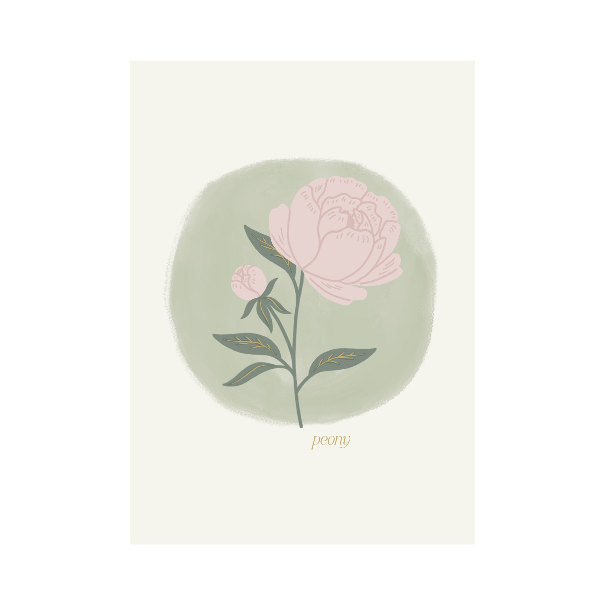 Greeting Card Flower - Peony