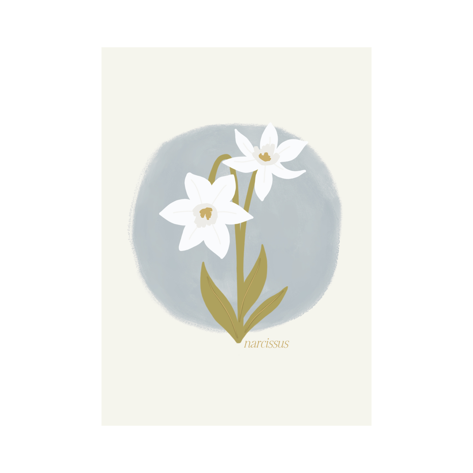 Greeting Card Flower - Narcissus