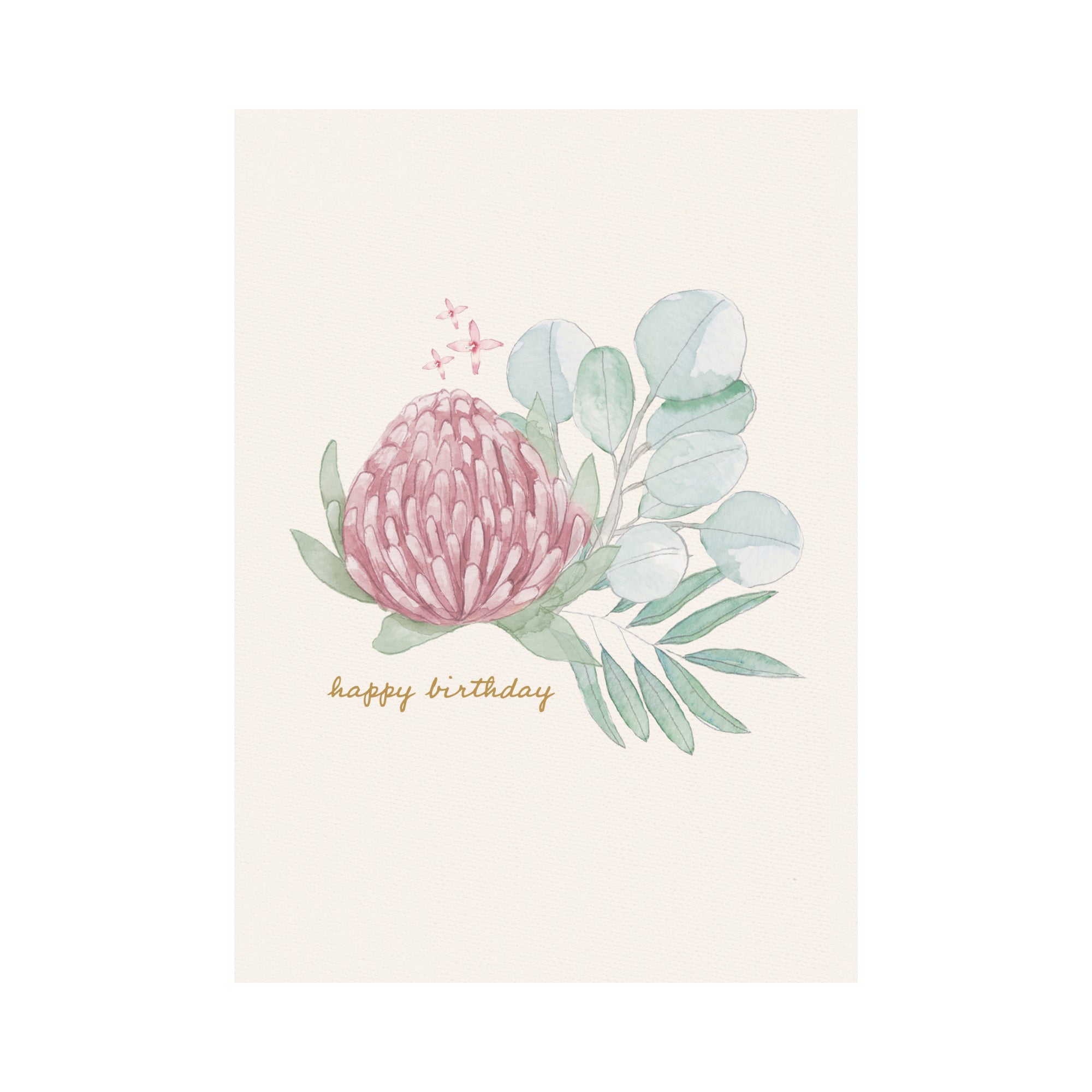 Greeting Card Waratah - Waratah Cluster