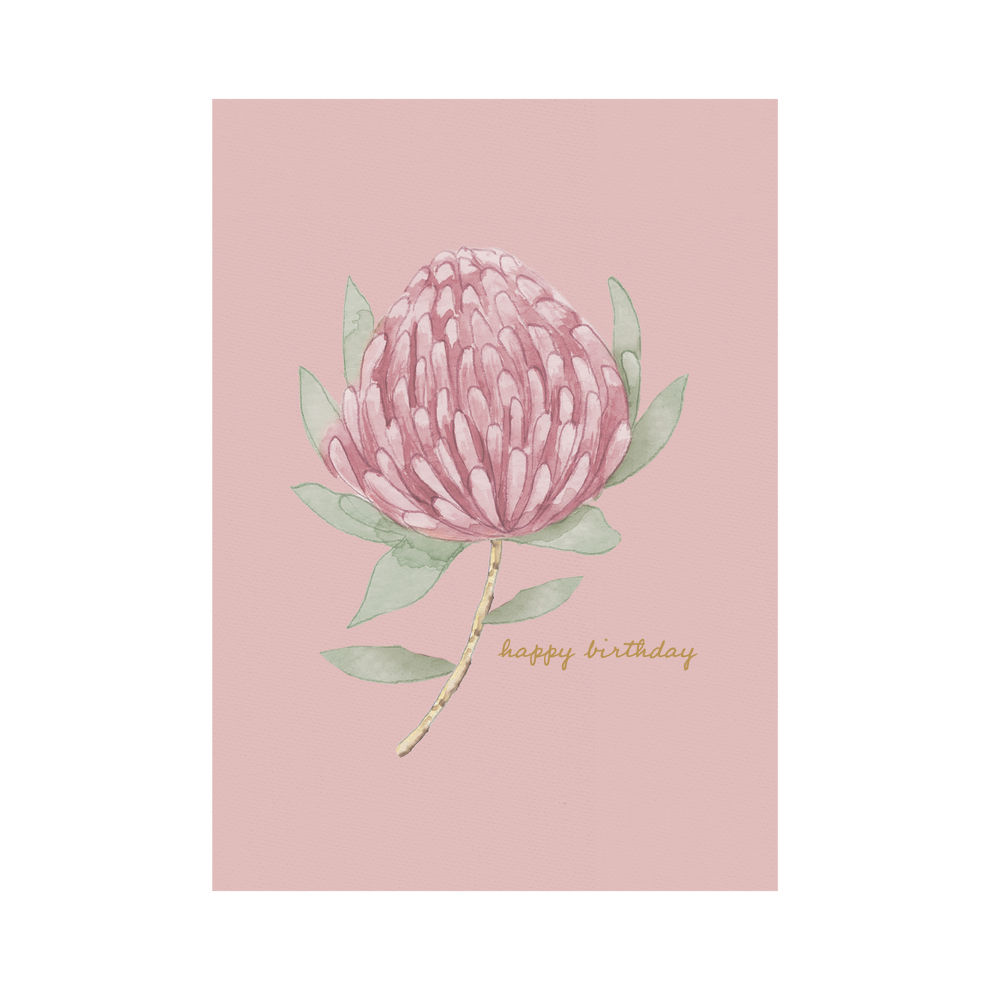 Greeting Card Waratah - Blush Waratah