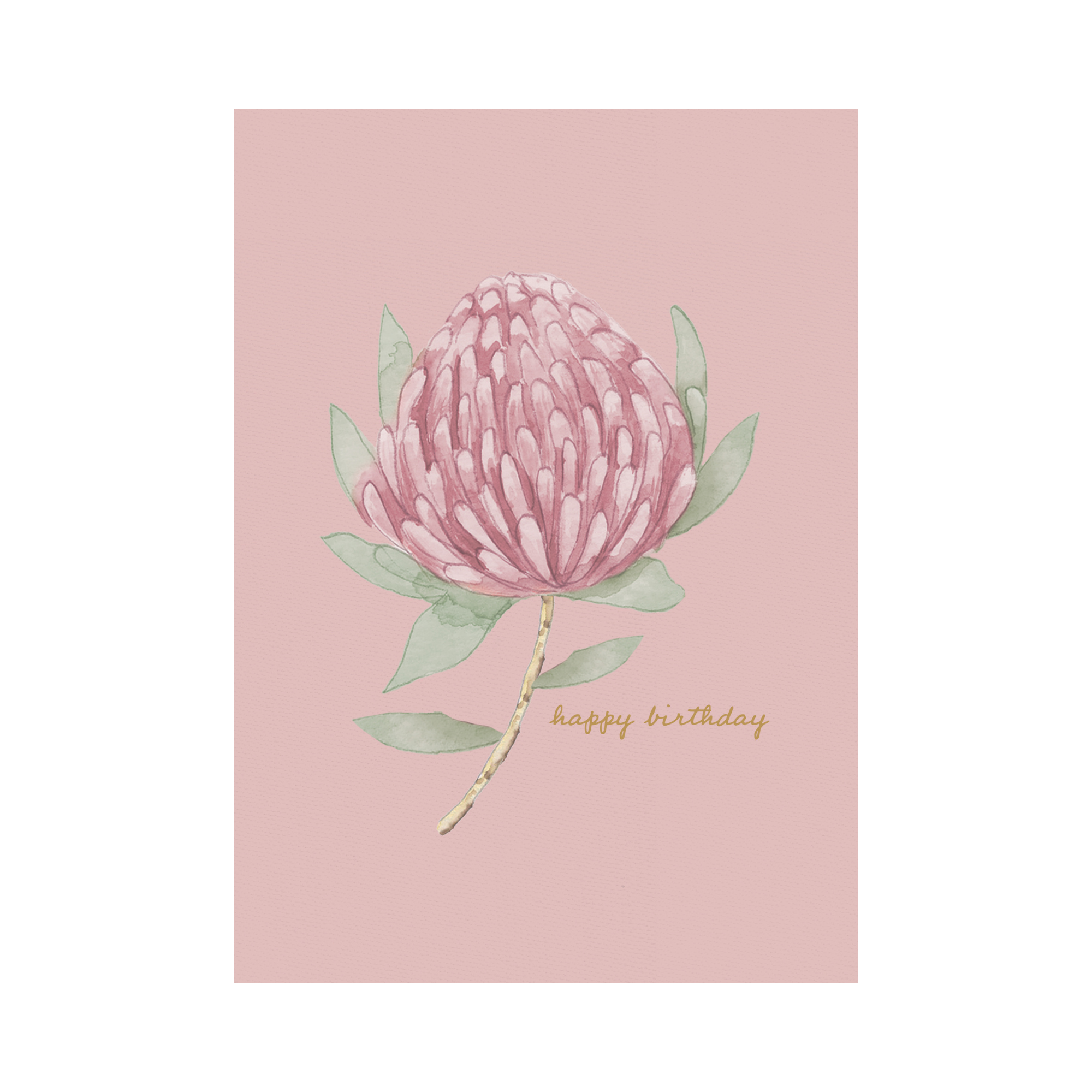 Greeting Card Waratah - Blush Waratah