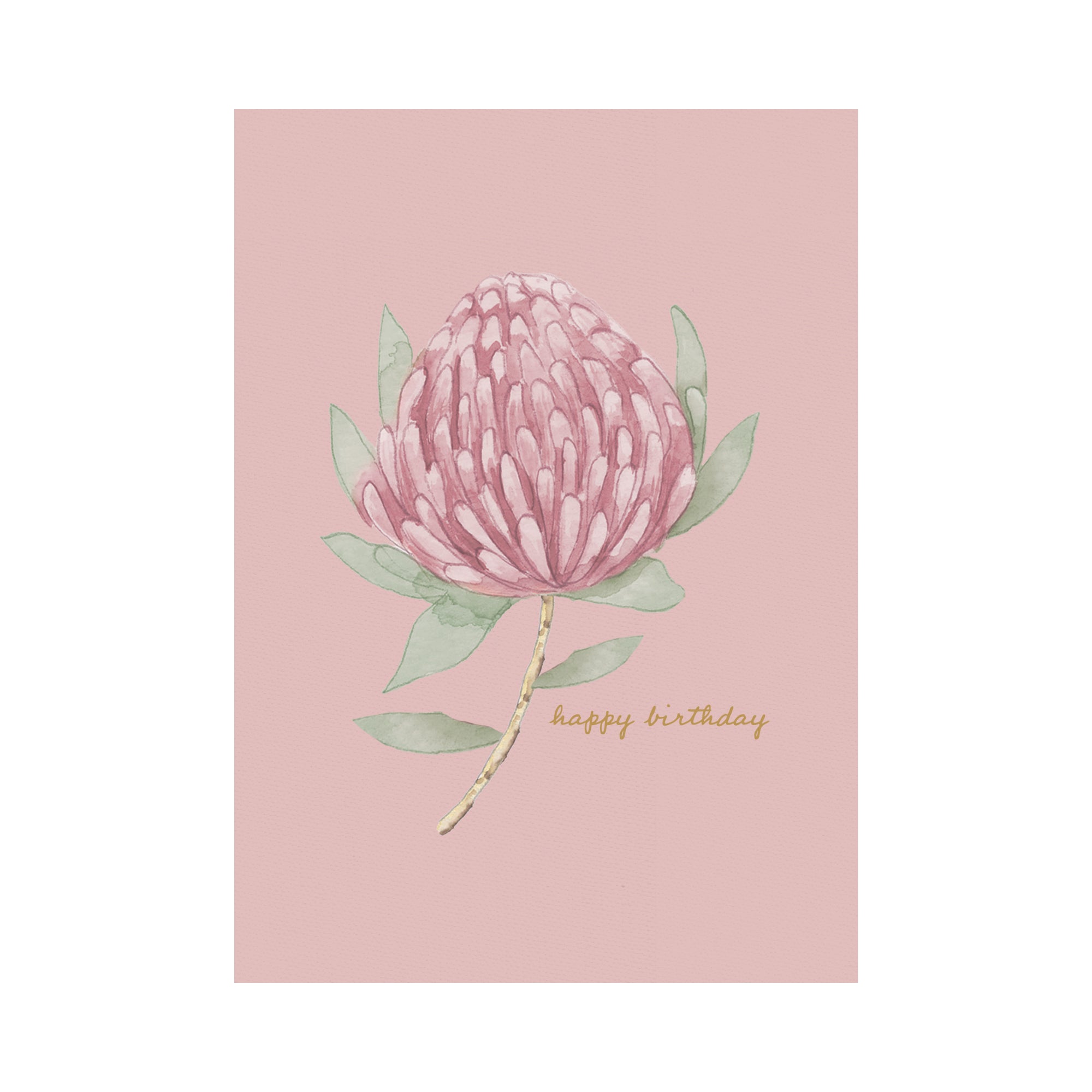 Greeting Card Waratah - Blush Waratah