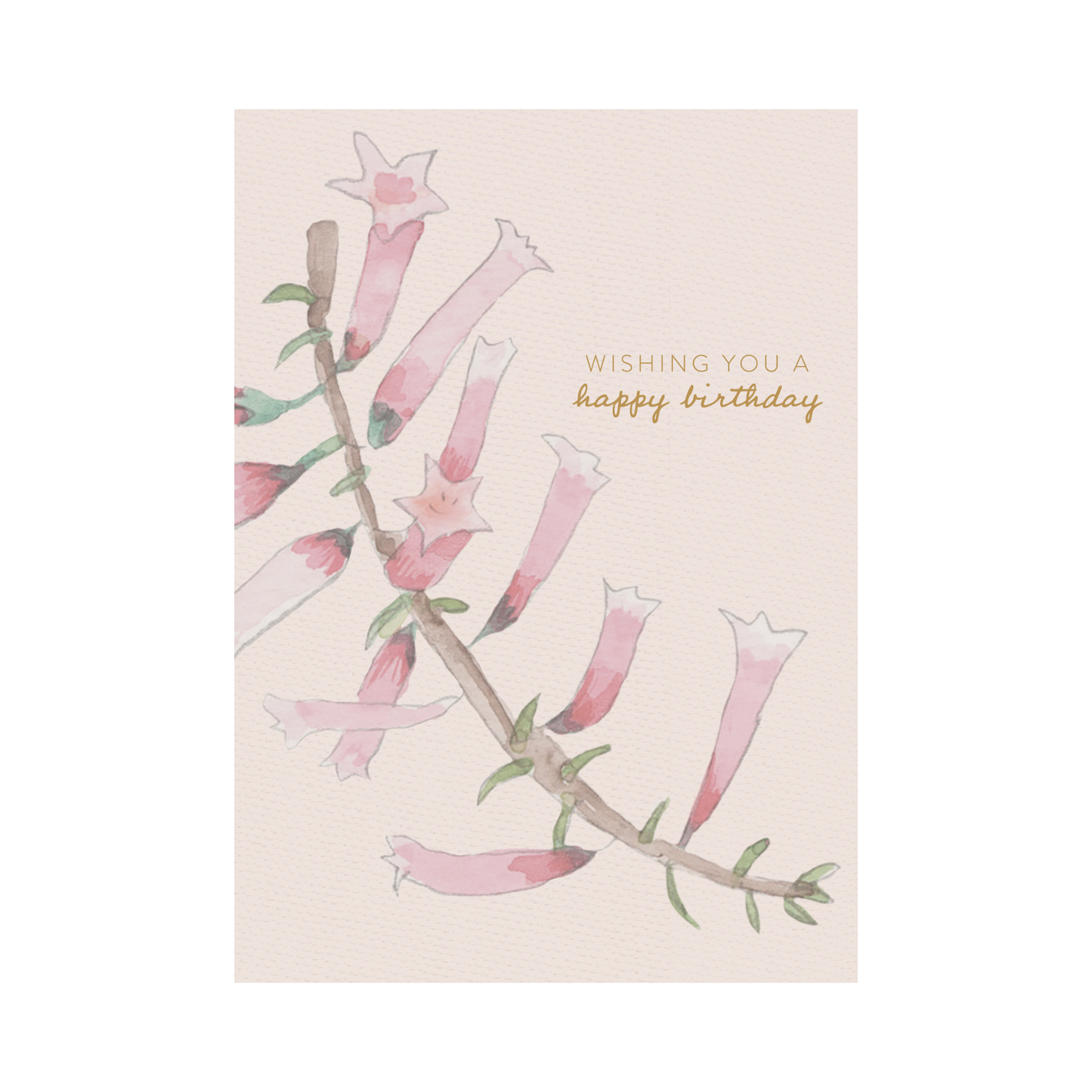 Greeting Card Waratah - Pink Heath