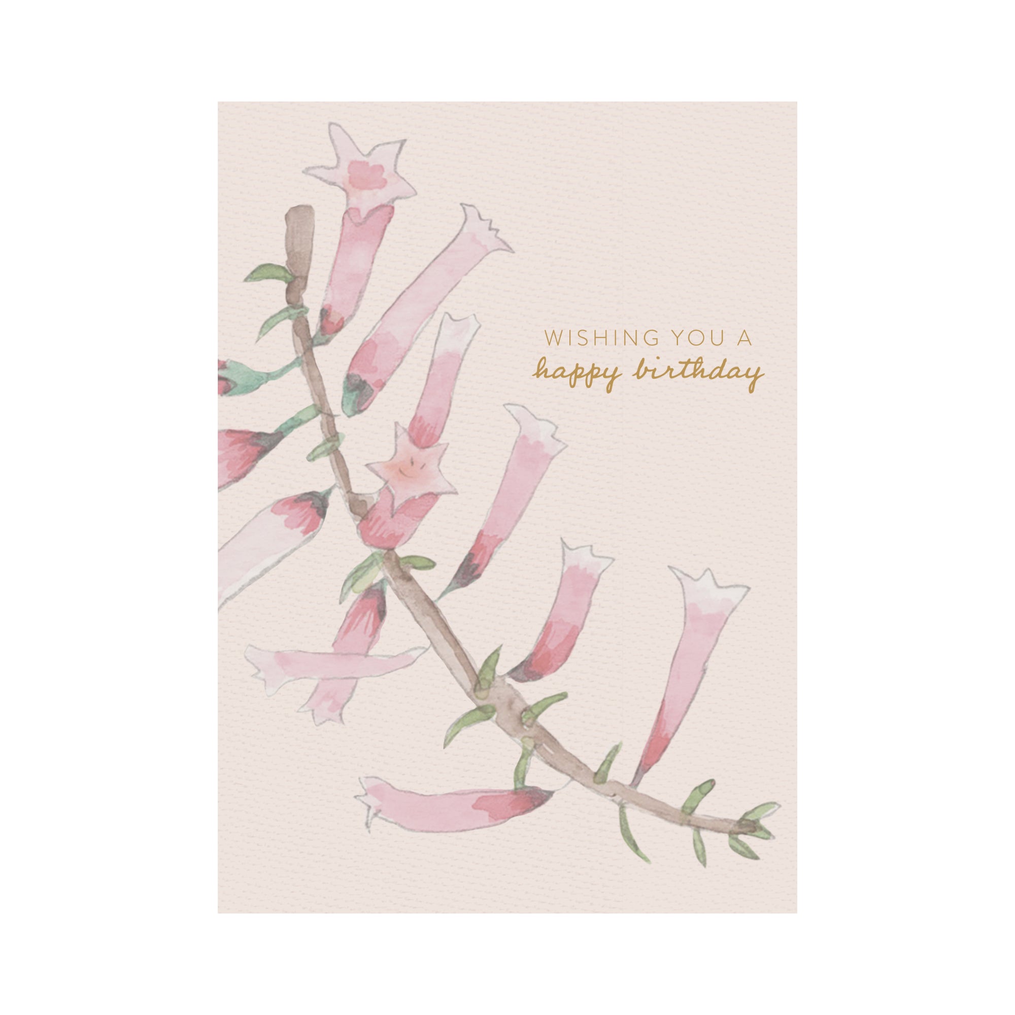 Greeting Card Waratah - Pink Heath