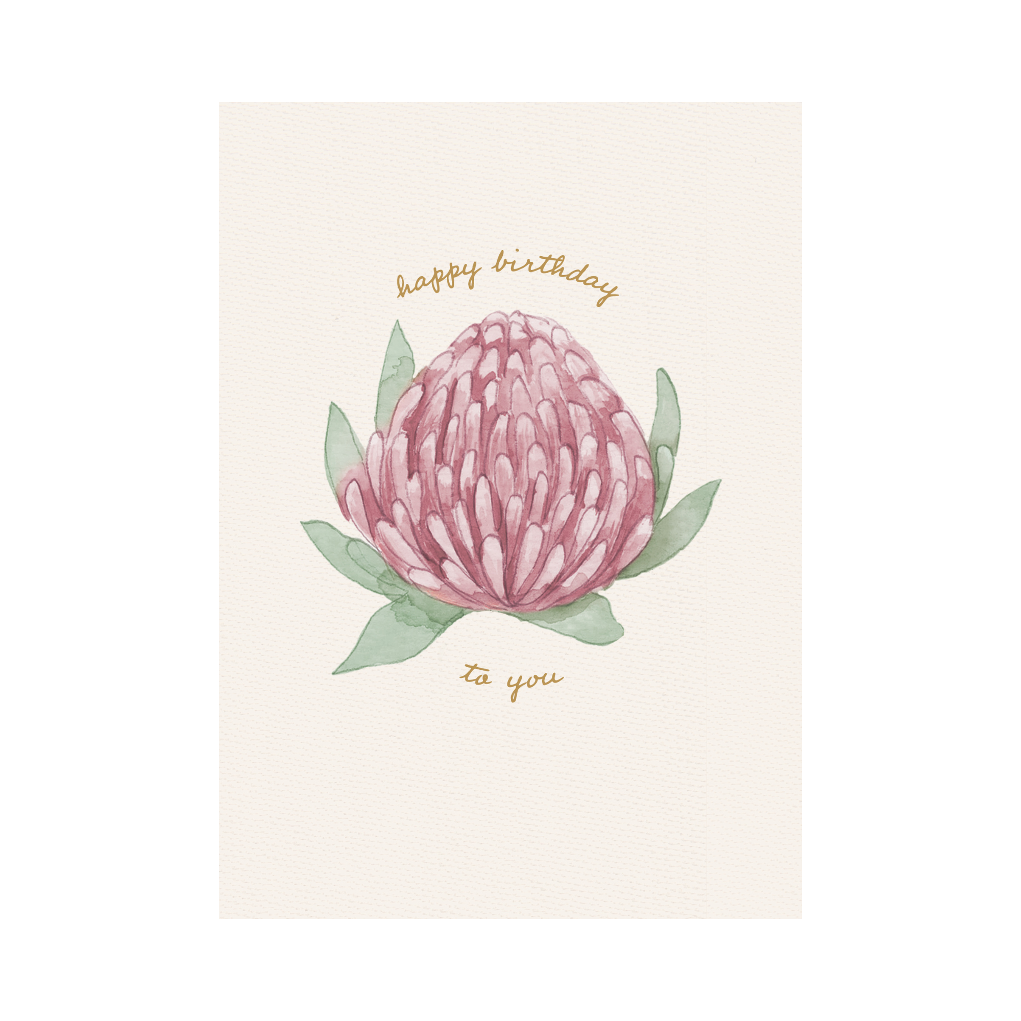 Greeting Card Waratah - Birthday Waratah