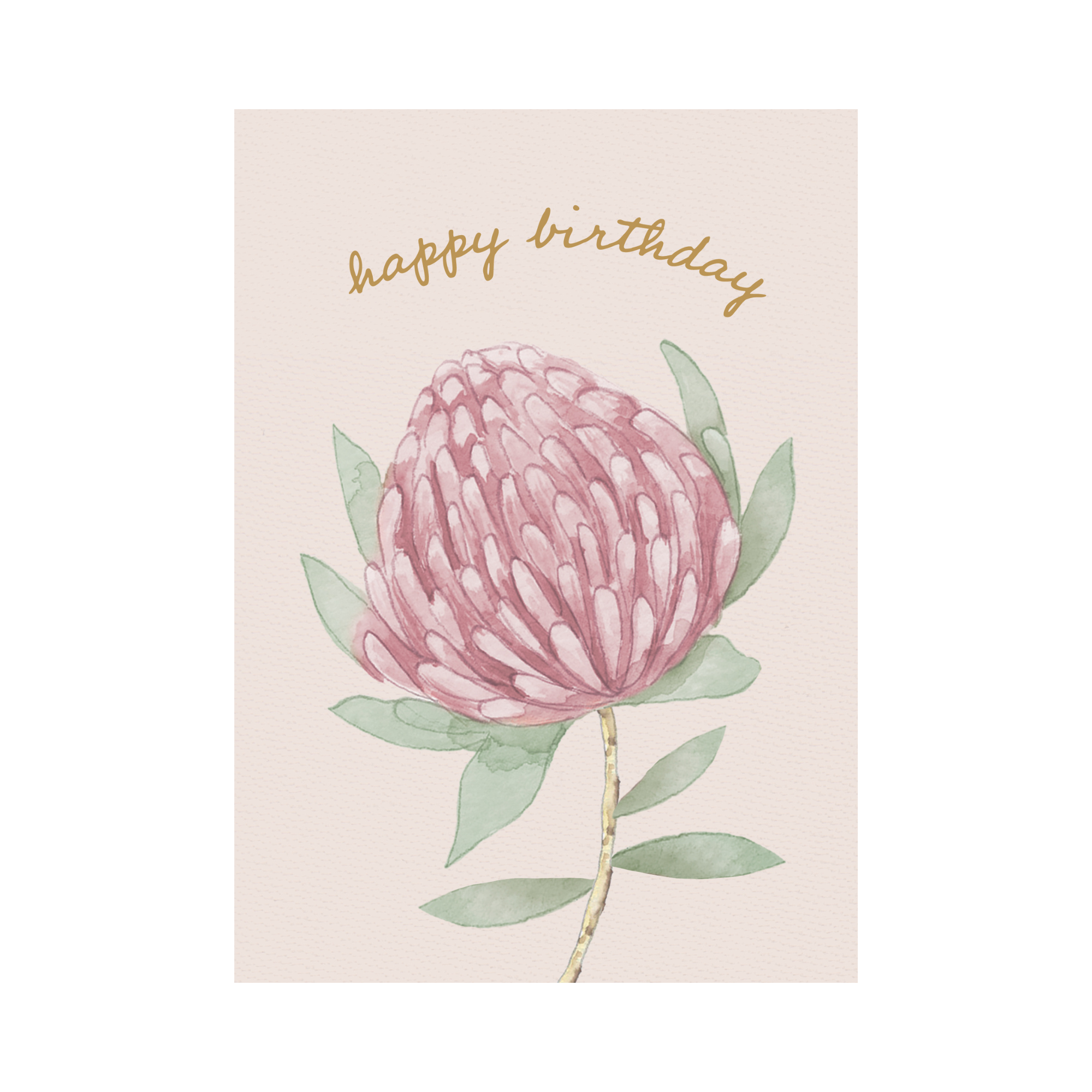 Greeting Card Waratah - Growing Waratah