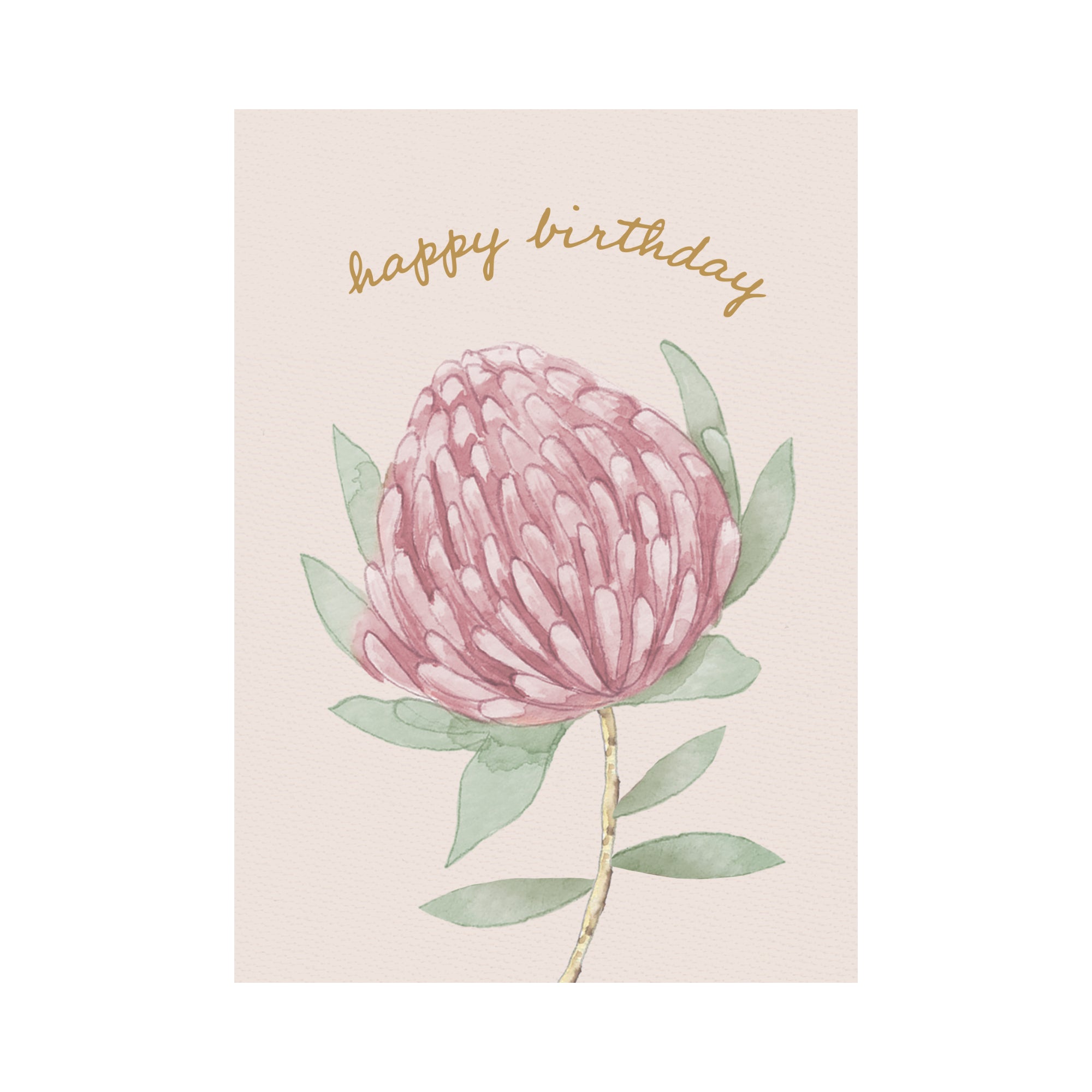 Greeting Card Waratah - Growing Waratah