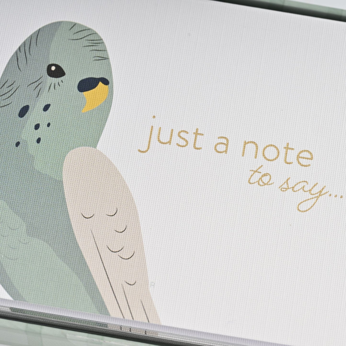 Notecard Set - Budgie Notes