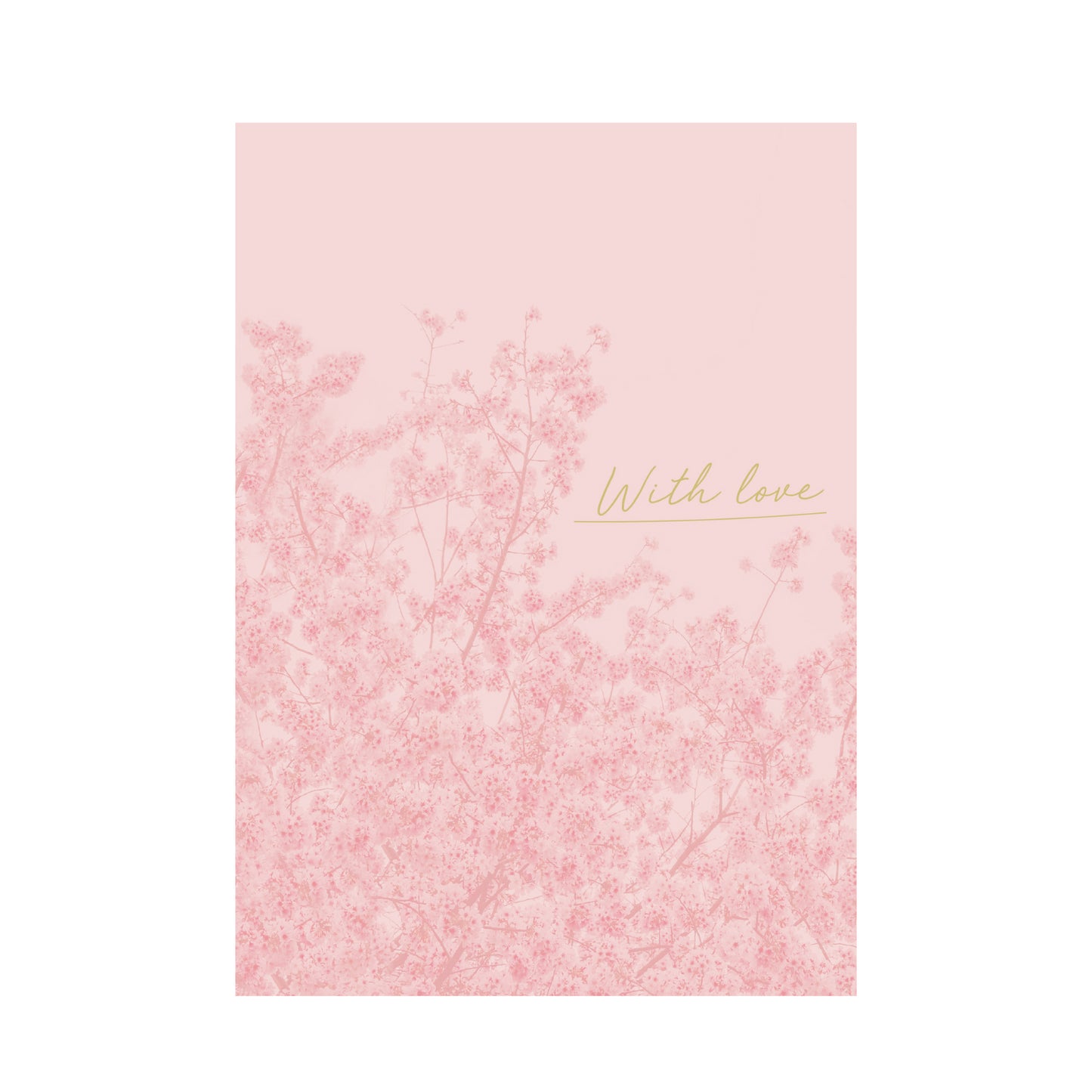 Greeting Card Thinking Of You - Cherry Blossom