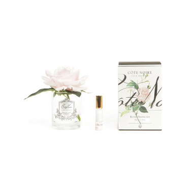 Cote Noire Perfumed Natural Touch Single Rose - Clear - French Pink