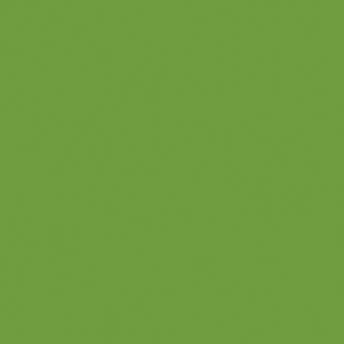 12 x 12 Weave Cardstock Bundle - Lime